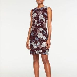 Ann Taylor Factory Floral Dress